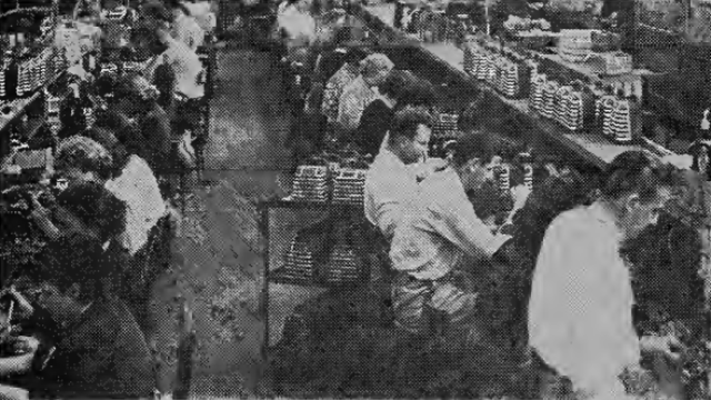 Solotone Corp. Workers